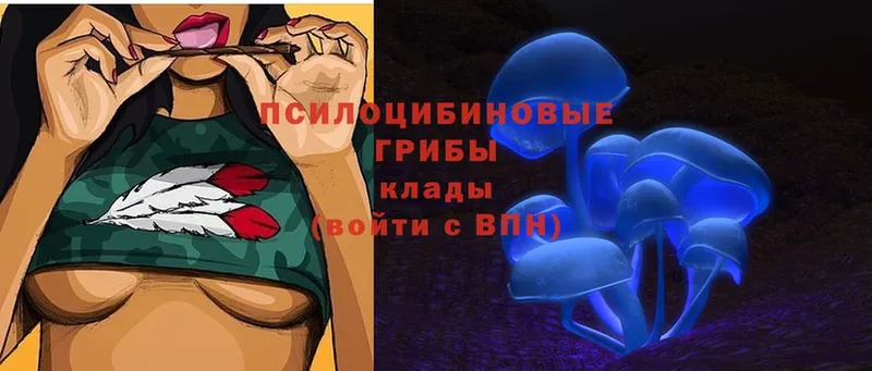 Псилоцибиновые грибы Magic Shrooms  где продают   Дятьково 